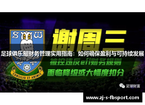 足球俱乐部财务管理实用指南：如何确保盈利与可持续发展