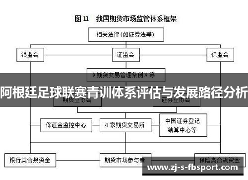 阿根廷足球联赛青训体系评估与发展路径分析