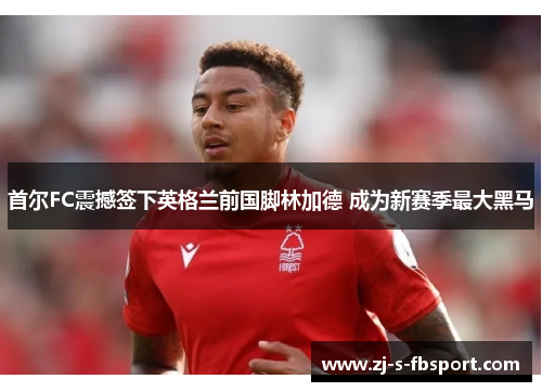 首尔FC震撼签下英格兰前国脚林加德 成为新赛季最大黑马 首尔FC震撼签下英格兰前国脚林加德 成为新赛季最大黑马